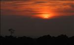 Sunset sur la canopée - Kingoué - Gongo Brazaville - Africa
